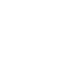 Denny Menezes
